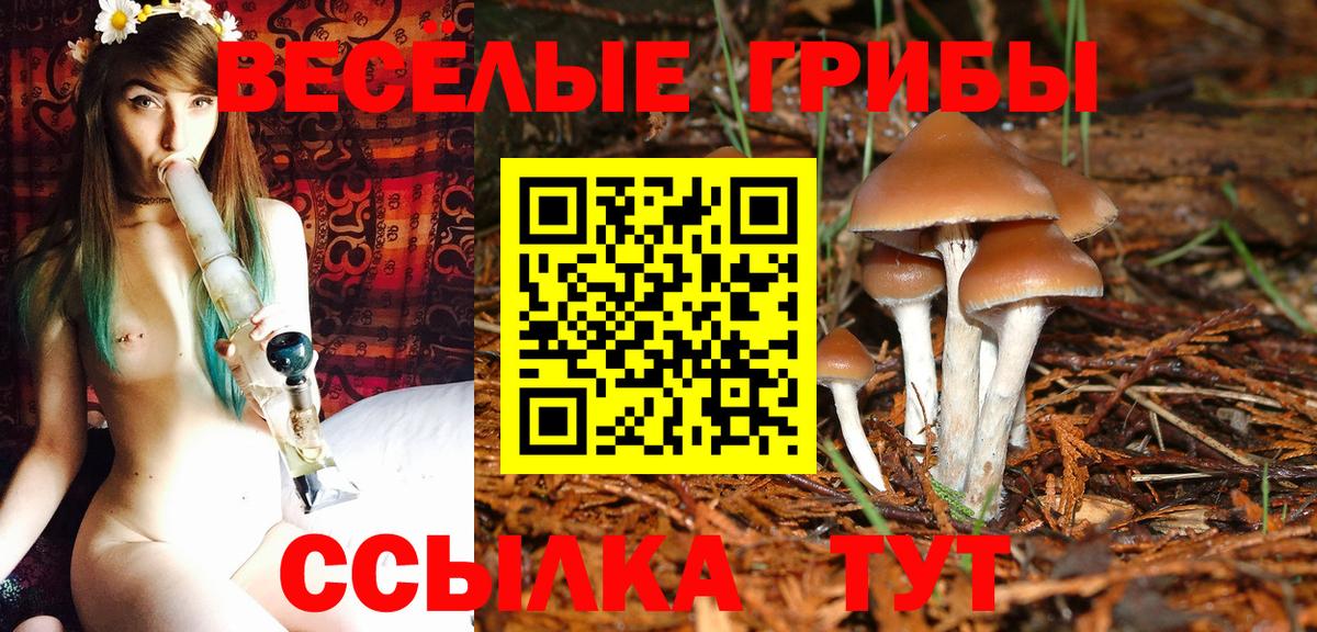 Галлюциногенные грибы MAGIC MUSHROOMS  Вход с VPN  Мурино 